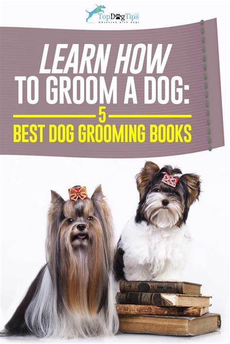 dog grooming books for beginners